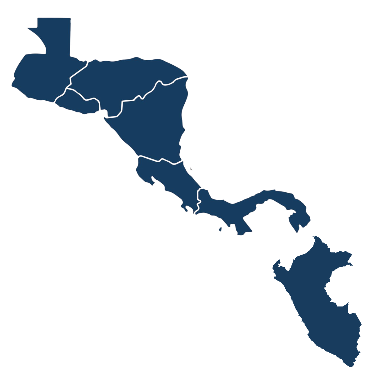 Grupo Net Solutions Presencia Regional