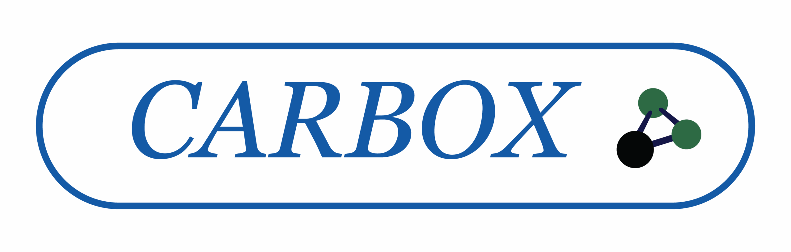 Logo 100