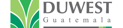 Logo 15