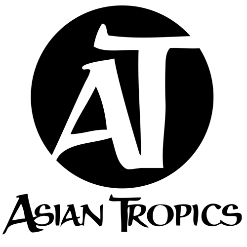 Logo 31