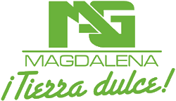 Logo 47