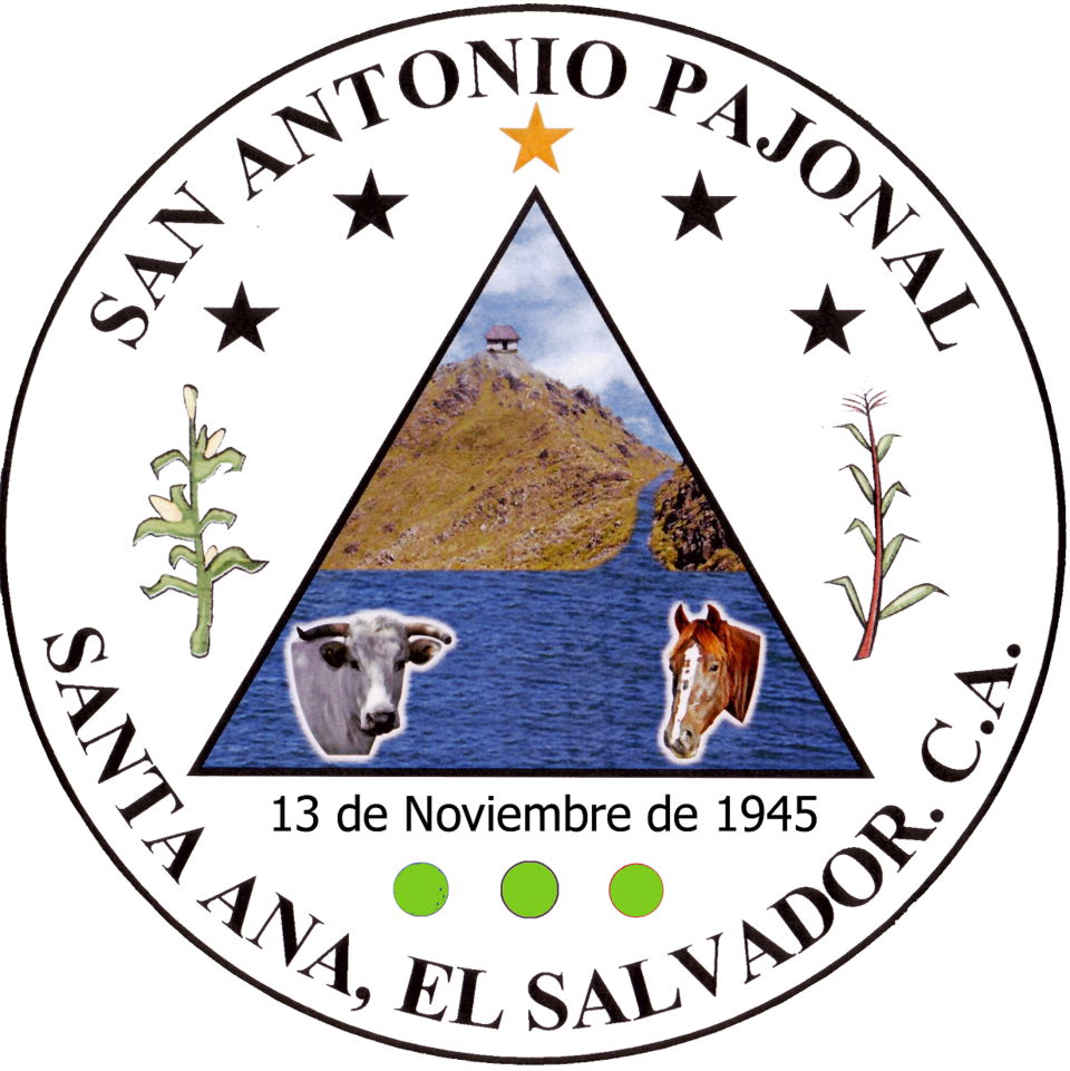Logo 63