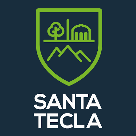 Logo 85