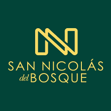 Logo 95
